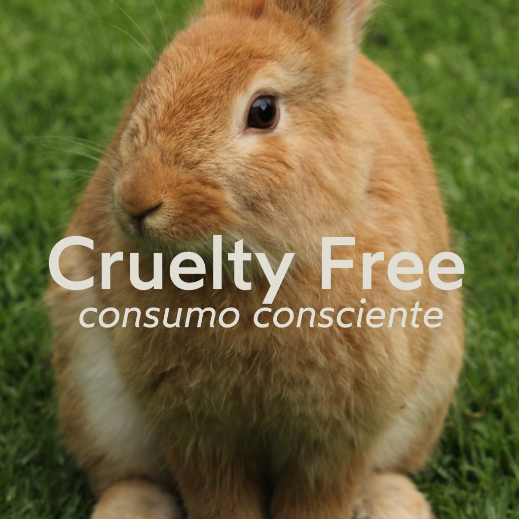 Em um fundo de madeira rústica, há uma folha de bananeira bem verde, três flores brancas e amarelas. Um quadro de luz branco está em cima da folha e nele, escrito em letras pretas lê-se “cruelty free” em duas linhas e há um coração na terceira.