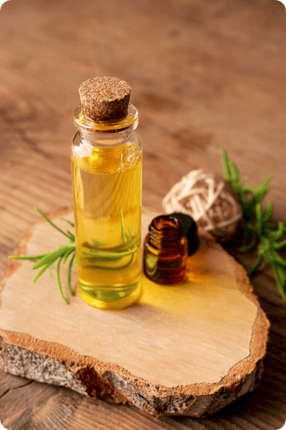 Descubra o poder dos Óleos Preciosos Veganos da Slow Beauty para pele e cabelos radiantes. Nutrição ética e sustentável para sua beleza consciente.
