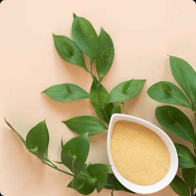 Transforme seus cabelos com a Proteína Vegetal para Cabelos. Descubra força, reparação e beleza duradoura com as soluções naturais da Slow Beauty.