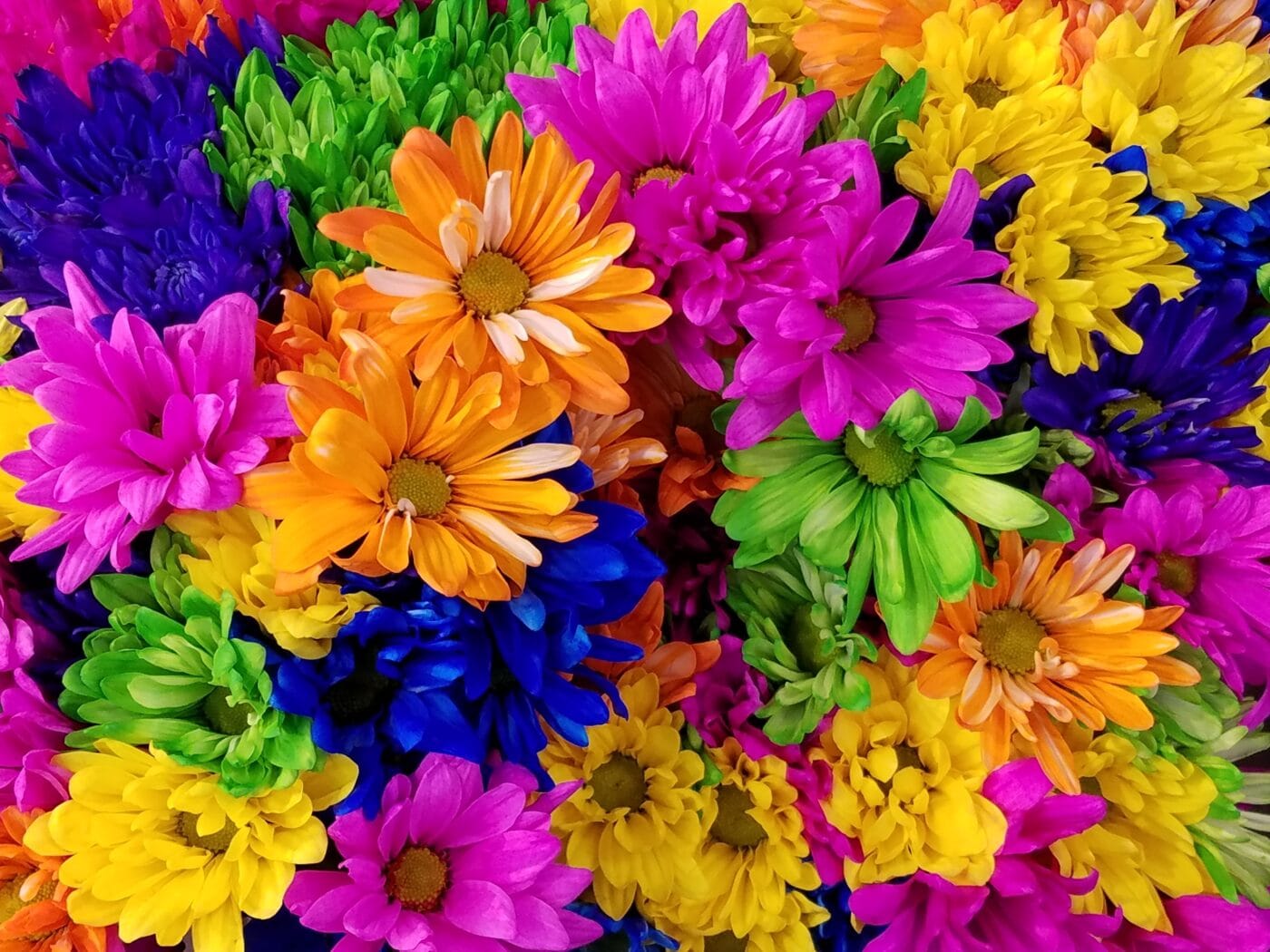 Terapia de Cores na Beleza