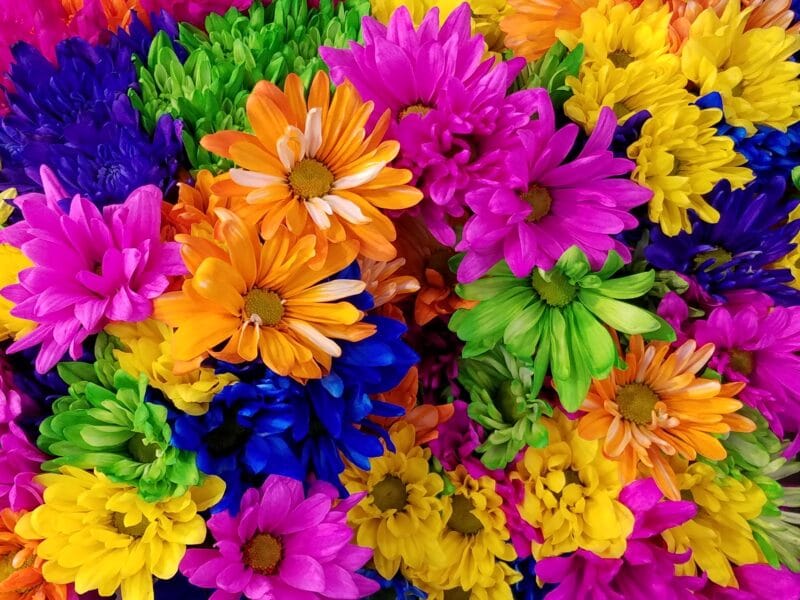 Terapia de Cores na Beleza
